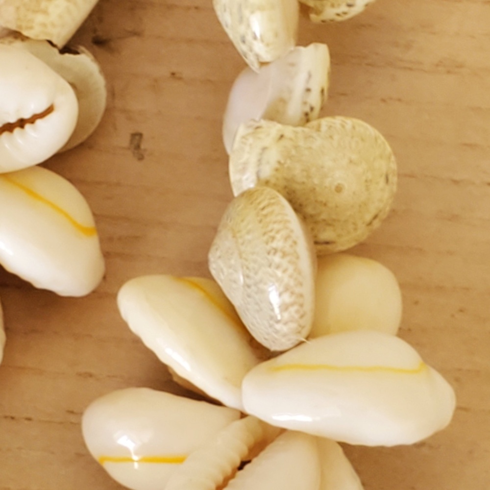 Vintage Tiny Shell Beaded Shell Necklace Bundle - image 3